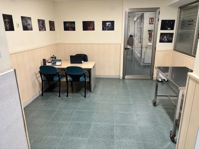 Consulta Canina (Detalle)